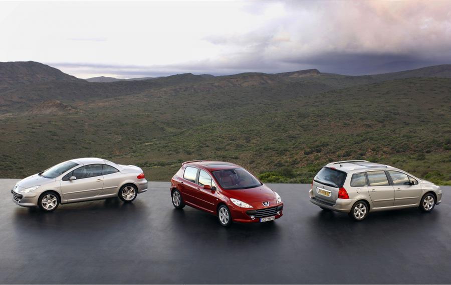 Peugeot 307 2005 года  (фото 9 из 25)
